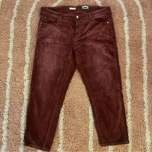 Pilcro Slim Boyfriend Crop Corduroy Pants